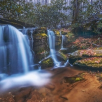 Winter kisses autumn in the Great Smoky Mountains National Park