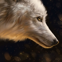 White wolf