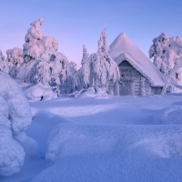 Winter Wonderland