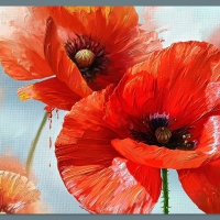 Tryptich Poppies