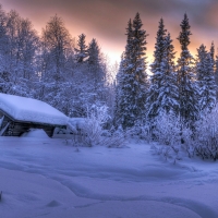 Finland Winter Houses