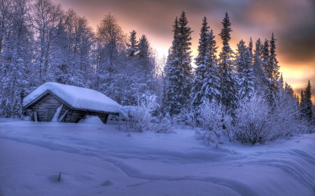 Finland Winter Houses - clouds, trees, sunset, cabins, snow, sky