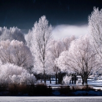Winter in Jackson, Wyoming