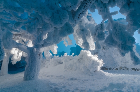 Winter - ice, winter, blue, iarna, snow, siberia