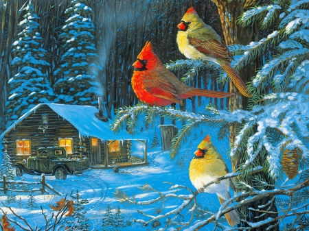 Cardinals cabin fever - detail - Other & Abstract Background Wallpapers ...