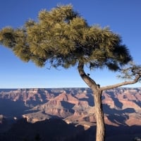 South Rim, Grand Canyon National Park