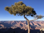 South Rim, Grand Canyon National Park