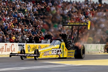 top fuel dragster - fuel, car, dragster, top