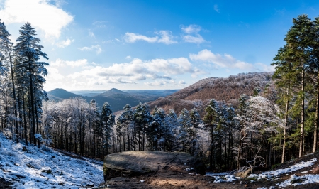 Palatinate Forest, Germany