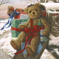 Christmas teddy gift