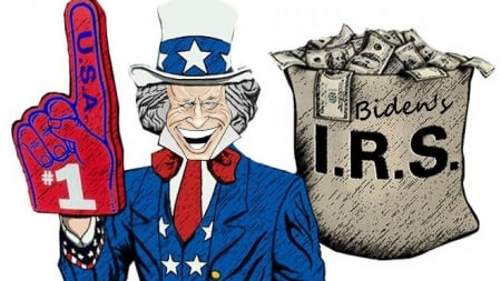 Tax Time . . Fools - taxes, Biden, IRS, America