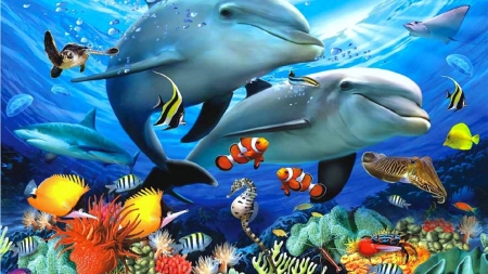 underwater landscape - dolphins, coral, reef, ocean, fish