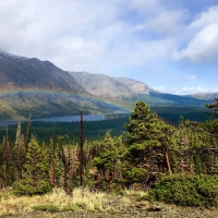 Glacier National Park, Aster Park