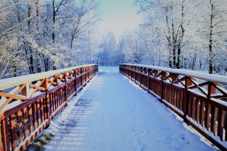 bridge in winter - snow, trees, winter, bridge