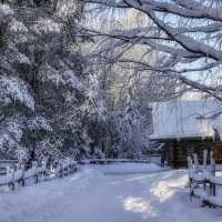 Winter