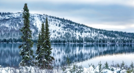 Winter lake