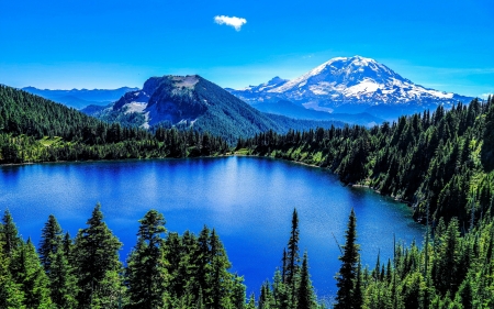 Mt. Rainier, Washington - usa, trees, landscape, lake, sky