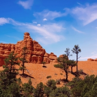 Red Canyon Dixie National Forest, Utah