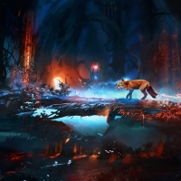 Fox