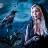 The Raven my Friend