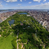 Central Park - Manhattan - New York City