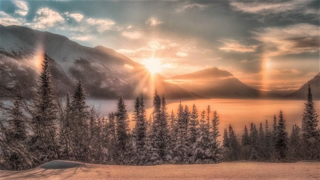 Yukon - snow, winter, forest, canada