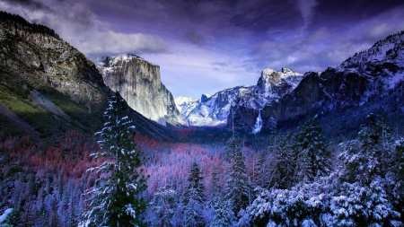 Winter mountain - trees, winter, beautiful, snow, forest, mountain, waterfall, view, cliffs, rocks