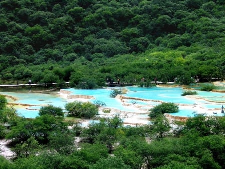 huanglong pools - pools, china, forest, huanglong