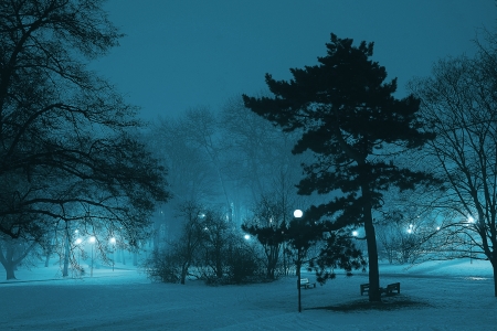 winter - winter, blue, night, teal, cold, pretty, snow, 4K, nature