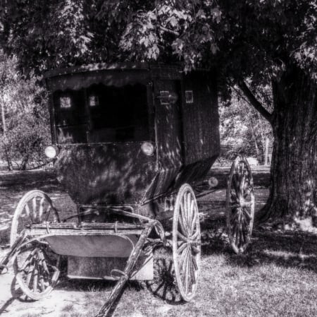 amish buggy - religion, buggy, old, amish