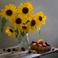 Sunflowers