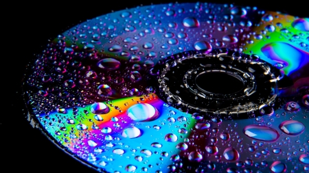 Water Drops - disk, drops, water, photography
