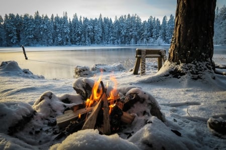 A camp fire at a frozen lake - winter, camp, beautiful, snow, forest, tree, river, frozen, fire, frost, bench, lake