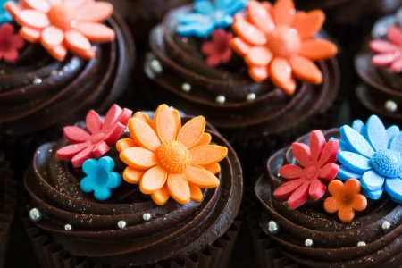 cupcakes - decorations, icing, chocolate, cupcakes