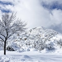 Winter in Northern Highlands, Arizona