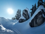 Boulders in the Central Cascades, Washington