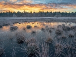 Frozen landscape during sunrise, the Netherlands