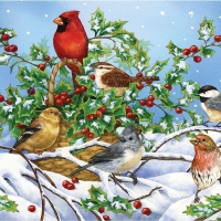 Winter Birds