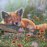 Sleeping fox by Abraham Hunter