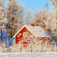 House in Skandinavia