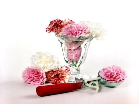 carnation ice-cream - blooms, flowers, ice-cream, carnations