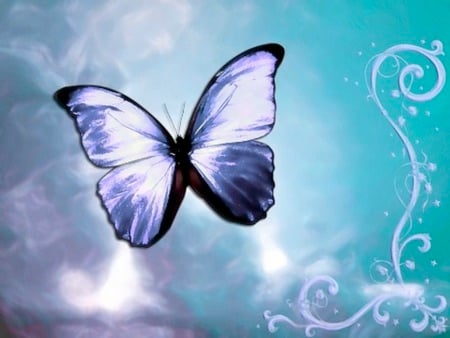 Butterfly Wallpaper  6 .jpg - flutter, fly, wild