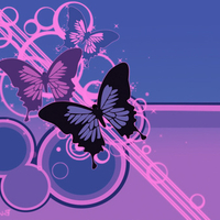 vector butterfly wallpaper by blinn .jpg