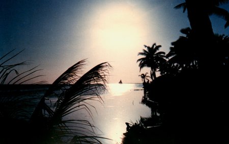 Sun setting in Caulker - caribbean, sunset, beach