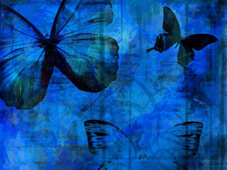 Butterfly Grunge.jpg - grunge, butterfly, flyaway