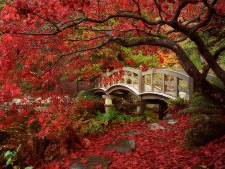 Bridge - red, heaven, flower, forests, bridge, love