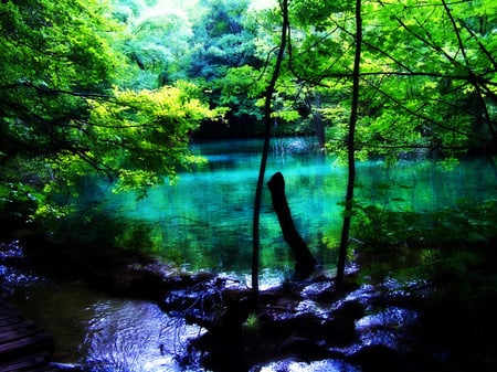 Nature - lake, forest, rocks