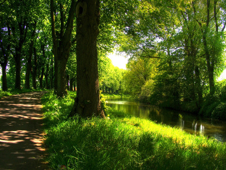 Nature - trees, road, river