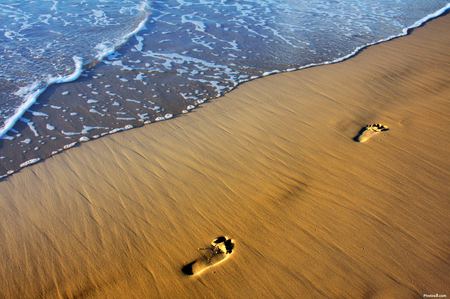 BEACH FOOTSTEPS - steps, beach, foot