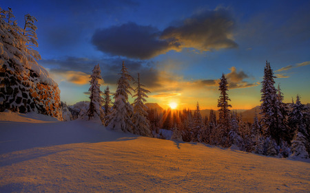 Beautiful Winter Sunset - trees, winter, summit, sunrise, forest, mountain, skies, sunset, nature, sun